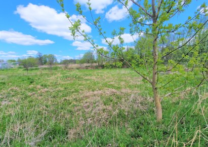 działka na sprzedaż - Zgierz (gw), Dąbrówka Wielka