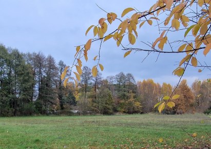 działka na sprzedaż - Zgierz (gw), Dąbrówka Wielka