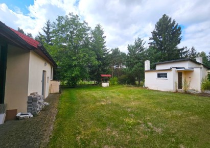 dom na sprzedaż - Łęczyca (gw), Borek
