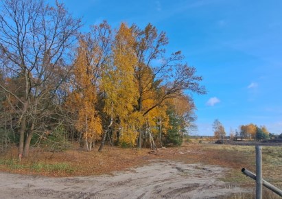 działka na sprzedaż - Parzęczew, Mariampol, Nowomłyny