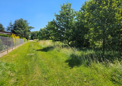działka na sprzedaż - Dobroń, Dobroń Poduchowny